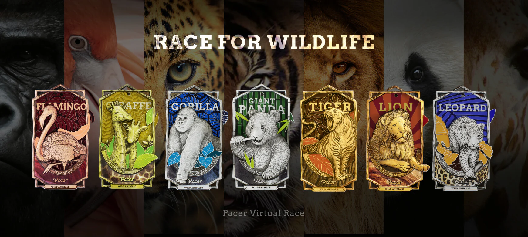 Conquer Your Next Virtual Race